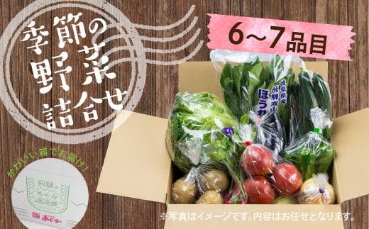 【2025年予約受付】（2025年4月中旬～順次発送予定）飛騨の野菜お任せセット 6～7品目 |  セット 野菜 夏野菜 秋野菜 おまかせ お取り寄せ 新鮮 産地直送 飛騨産 夏 秋 サラダ 飛騨高山 あじかファミリー GN002