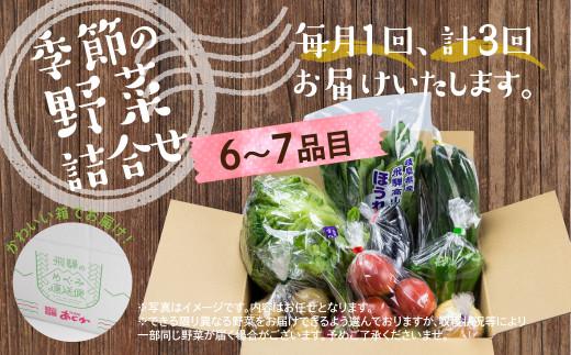 定期便 3ヶ月 飛騨の野菜 6～7点 野菜セット 3回 お届け 飛騨高山産 野菜  秋野菜 おまかせ お取り寄せ  産地直送 飛騨産 夏 秋 ふるさと納税定期便    GN100