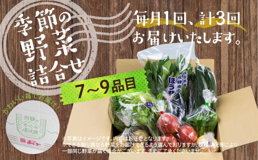  《定期便》3ヶ月 飛騨の野菜 7～9点 野菜セット 3回 お届け 飛騨高山産 野菜  秋野菜 おまかせ お取り寄せ  産地直送 飛騨産 夏 秋  サラダ    GN101