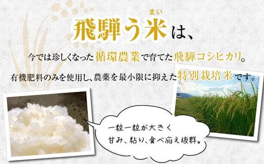 【数量限定】令和7年産 飛騨う米 7分づき米 10kg | 有機肥料100％ 米 白米 お米 受賞米 米コン3年連続特別優秀賞受賞米 飛騨高山 株式会社拳 GW002