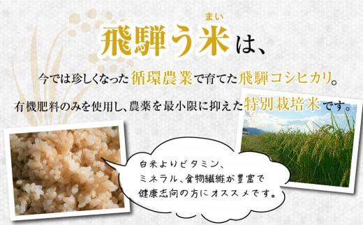 【数量限定】令和7年産 飛騨う米 玄米 10kg | 有機肥料 100％ 米 お米 受賞米 米コン3年連続特別優秀賞受賞米 飛騨高山 株式会社拳 GW004