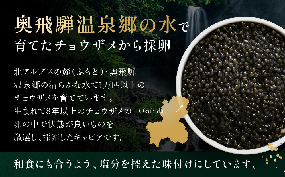 奥飛騨キャビア15g｜奥飛騨 贈答用 魚卵 日本産 グルメ 高山市 焼岳すっぽん HE001