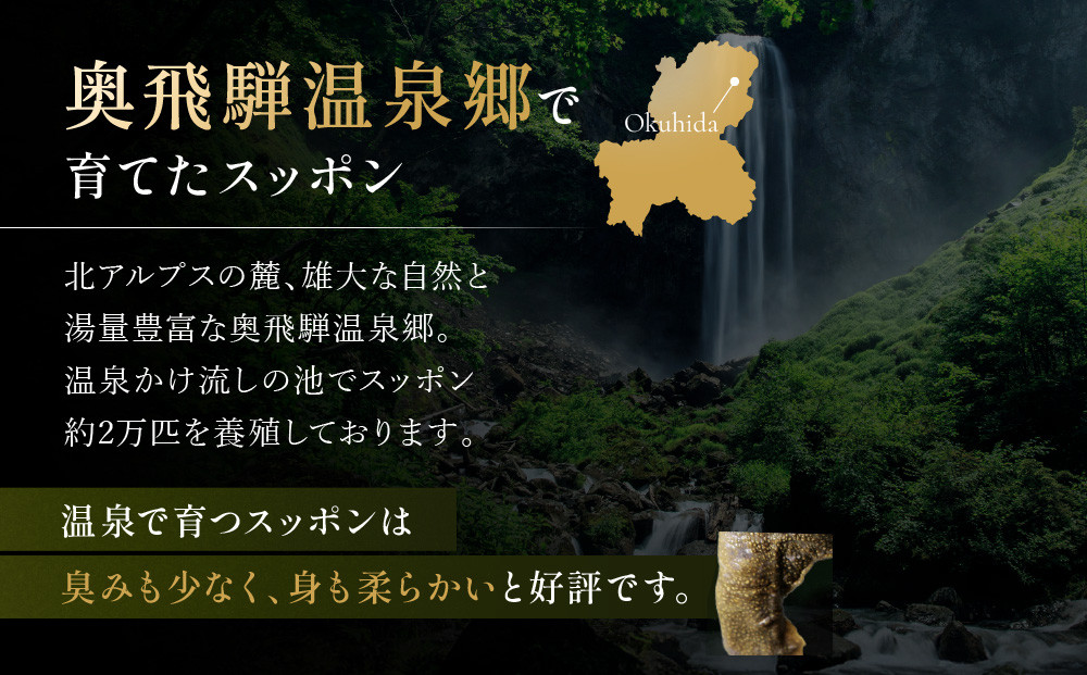湯けむり美人すっぽんスープ　4人前｜和風惣菜 食品 人気 美容 健康 コラーゲン 栄養 伝統 日本料理 煮込み 温まる 冬季 スープ料理 だし 焼岳すっぽん HE005