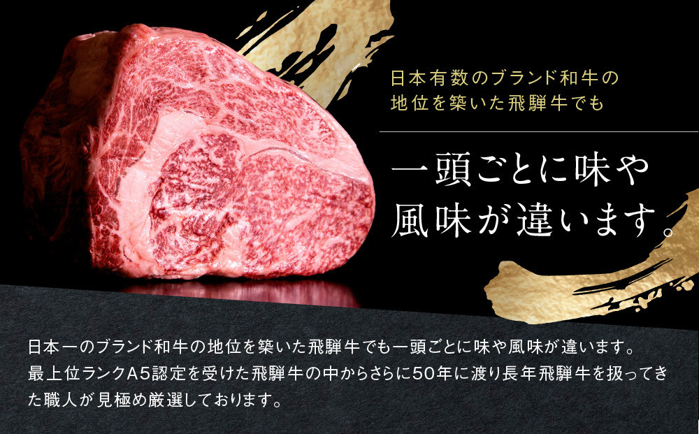 【形不揃い訳あり】A5等級飛騨牛 焼肉 切り落とし600g（冷蔵配送）| 牛肉 肉 和牛 キャンプ 肉料理 ブランド牛 不揃い 人気 国産 お取り寄せ グルメ おすすめ 株式会社岩ト屋 HF040VC13