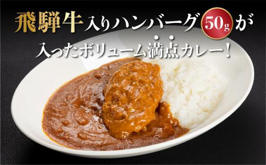 飛騨牛ハンバーグカレー  200ｇ×6袋＆豚の角煮180g×6袋 | 飛騨牛 ハンバーグ 角煮 豚角煮 肉 豚肉 グルメ 常温保存 お手軽 便利 人気 おすすめ 飛騨高山牧場 HG012