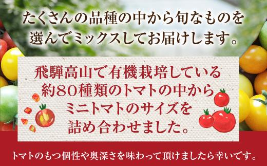 【2026年夏 先行予約】（7月中旬から順次発送予定）飛騨高山産 有機栽培トマト「彩りトマト」 3kg | ミディトマト ミニトマト 詰合せ ミックス 樹熟 5種類以上 食べ比べ 野菜 飛騨高山 山藏農園 JC009