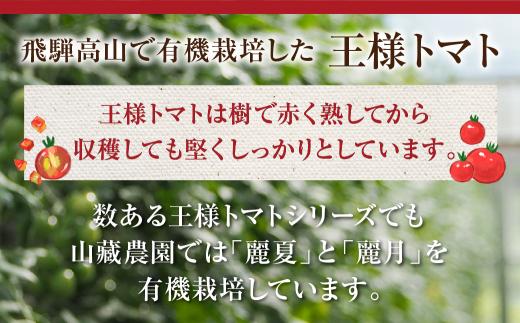 【2026年夏 先行予約】（8月上旬から順次発送予定）飛騨高山産 有機トマト「王様トマト」3kg | 大玉トマト とまと 麗月 れおん 野菜 樹熟 飛騨高山 山藏農園 JC011