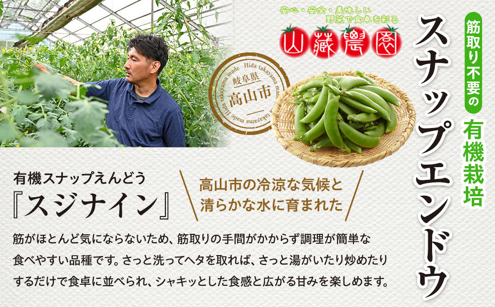 飛騨高山産 筋取り不要の有機栽培スナップエンドウ500g（春限定・5〜6月発送）｜新鮮 春野菜 旬の味覚 えんどう 彩り野菜 山藏農園 JC018