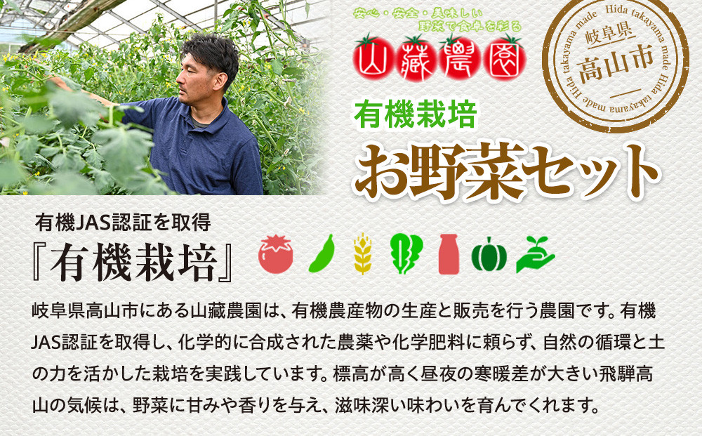 飛騨高山産 季節の有機栽培お野菜BOX（ファミリー）お届け：6月〜10月｜ファミリー 新鮮  有機野菜 旬野菜 地元野菜 やさい 農園 高山市 山藏農園 JC022