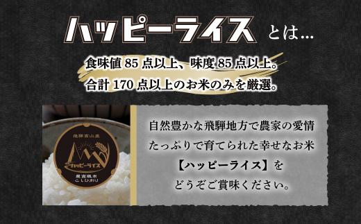 ハッピーライス 【定期便】 こしひかり コシヒカリ 内祝い のし 熨斗 ハッピーライス 飛騨高山 JQ101