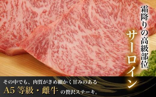 【1月配送】飛騨牛サーロインステーキ600ｇ（200ｇ×3） A5等級 ブランド牛 和牛  朝日屋 JX009VC01