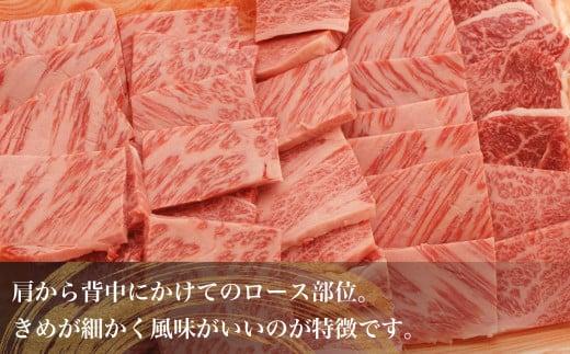飛騨牛 焼肉 肩ロース 700g（350g×2） | A5等級 牛肉 和牛 ブランド牛 雌牛 牝牛 バーベキュー キャンプ 飛騨高山 肉の朝日屋 JX014