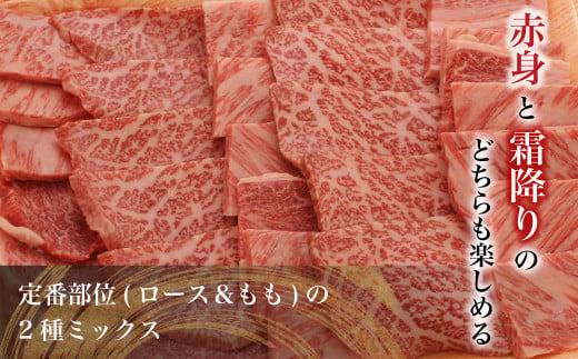飛騨牛 焼肉 （ 赤身 / ロース）600g（300g×2）| A5等級 もも もも肉 モモ 牛肉 ブランド牛 和牛 霜降り 雌牛 牝牛 バーベキュー キャンプ 飛騨高山 肉の朝日屋 JX015