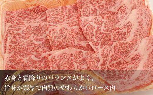 飛騨牛 焼肉 ロース 600g（300g×2）| A5等級 牛肉 ブランド牛 和牛 雌牛 牝牛 バーベキュー キャンプ 飛騨高山 肉の朝日屋 JX016