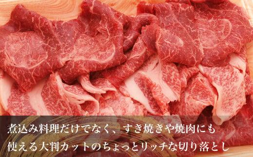 飛騨牛 ちょっとリッチな 切り落とし 460g ( もも / 肩 )  | A5等級 鍋 牛肉 和牛 ブランド牛 雌牛 牝牛 飛騨高山 肉の朝日屋 JX020