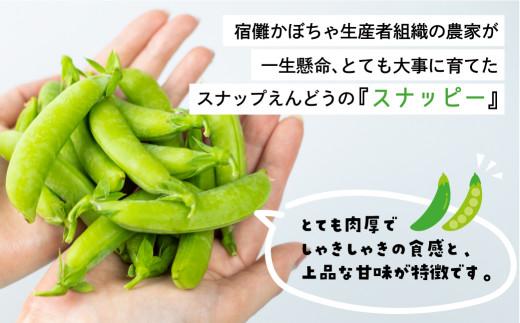 【数量限定】≪6月頃より順次発送≫ 飛騨高山産 甘み抜群！すくなスナッピー1kg (スナップえんどう) | スナックえんどう スナップエンドウ 野菜 旬 新鮮 飛騨 高山 エンドウ 豆 スナックエンドウ えんどう豆 飛騨高山 宿儺さま KA001