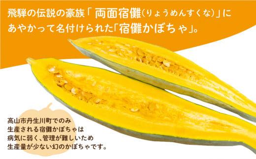 【数量限定】2025年 先行予約（9月頃より発送開始予定） 宿儺かぼちゃ 2本 | 南瓜 カボチャ 飛騨野菜 飛騨の特産品 野菜 数量限定 期間限定 飛騨高山 宿儺さま KA003