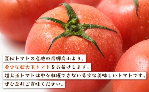 【数量限定】希少！！超大玉飛騨トマト 12玉 【8月頃～順次お届け】| とまと 大玉トマト 野菜 産地直送 珍しい 数量限定 期間限定 飛騨高山 宿儺さま KA009