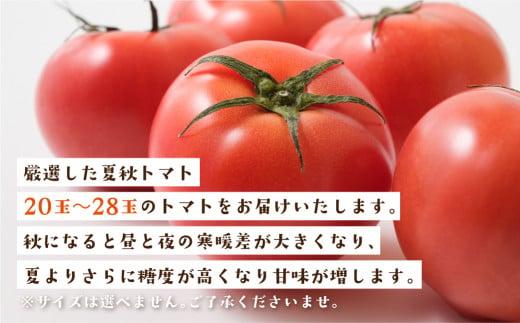 【9月頃～順次発送】秋の濃い味 飛騨トマト 4kg | 大玉 トマト とまと 秋 野菜 期間限定 産地直送 野菜 飛騨高山 宿儺さま KA010