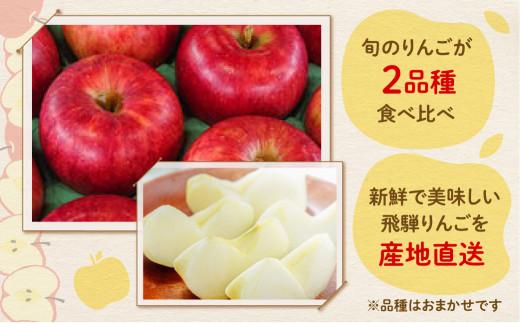 【先行受付】飛騨りんご2種詰め合わせ 3kg | りんご 林檎 リンゴ 果物 フルーツ 産地直送 品種お任せ 日付指定不可 9月下旬～11月上旬頃順次発送 堤果樹園 KU001