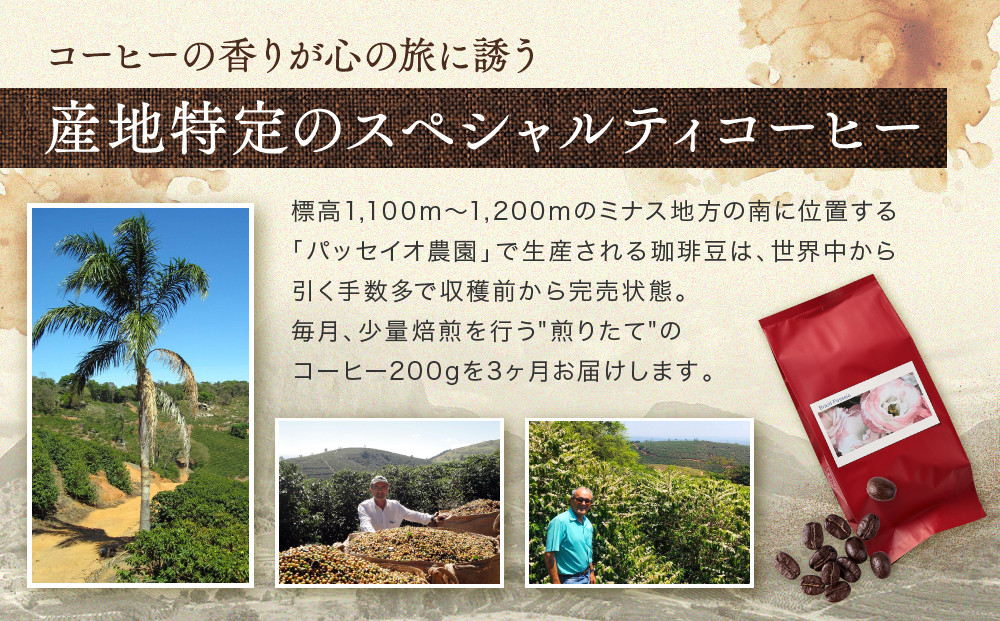 【中煎り】ふるさとの香り「煎りたて」３定期カ月便 スペシャルティコーヒー ブラジル パッセイオ農園200ｇ×3カ月 | 焙煎 珈琲 コーヒー パッセイオ農園 ブラジル  あそびば.coffee 栄徳屋　LC100