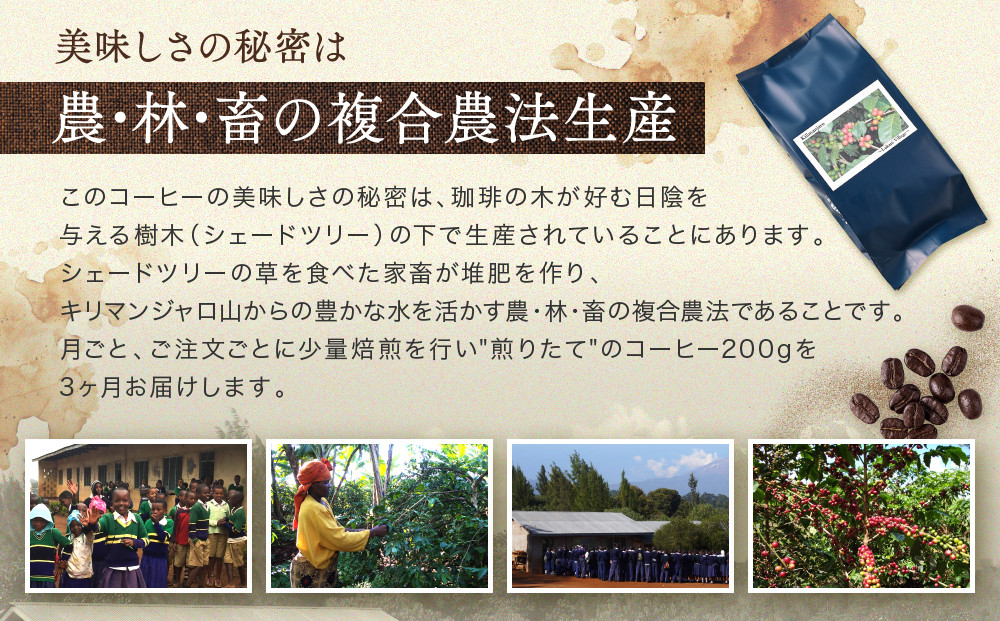【中煎り】ふるさとの香り「煎りたて」３カ月定期便 ルカニ村・フェアトレード・プロジェクト　キリマンジャロ ルカニ村  200ｇ×3カ月 | 焙煎 珈琲 コーヒー ルカニ村 キリマンジャロ 　あそびば.coffee 栄徳屋　LC101