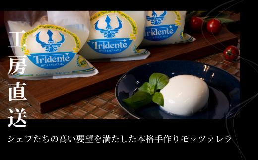 飛騨生乳100％ モッツァレラチーズ 6個（1個125g）| チーズ モッツァレラ 冷蔵  個包装 カプレーゼ パスタ ピザ  前菜 サラダ 新鮮 生乳 国産 低温殺菌 乳製品 無添加 飛騨高山 チーズ工房トリデンテ LF003