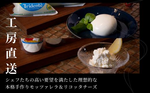 【寄附額見直しました！】飛騨生乳100％ モッツァレラ 2個（1個125g）& リコッタ 2個（1個100g）| セット チーズ モッツァレラ リコッタ 冷蔵 個包装 パスタ ピザ サラダ 低温殺菌 新鮮 国産 乳製品 無添加 飛騨高山 チーズ工房トリデンテ LF005