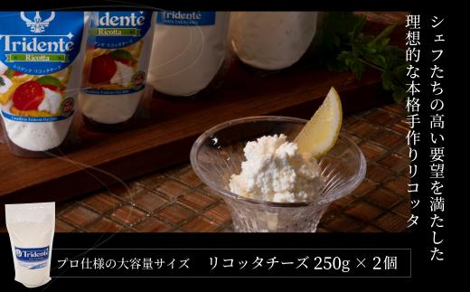 飛騨生乳100％ リコッタチーズ 2個（1個250g）| リコッタ 冷蔵 サラダ お菓子 前菜 サラダ 新鮮 生乳 国産 低温殺菌 乳製品 無添加 大容量 業務用サイズ 飛騨高山 チーズ工房トリデンテ LF006