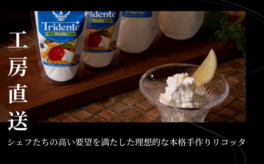 飛騨生乳100％ リコッタチーズ ３個（1個100g）| リコッタ 冷蔵 サラダ お菓子 前菜 サラダ 新鮮 生乳 国産 乳製品 無添加 飛騨高山 チーズ工房トリデンテ LF009