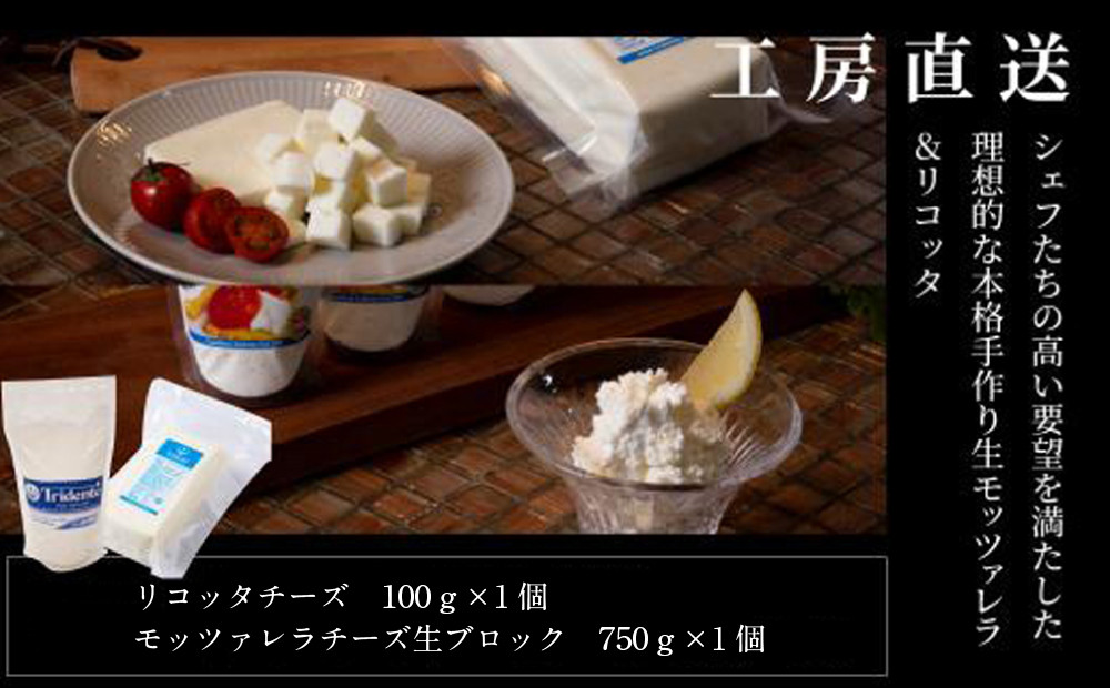 飛騨生乳100％ リコッタ1個 &  モッツァレラチーズ生ブロック1個セット | セット チーズ 冷蔵 濃厚 低温殺菌 乳製品 おいしい 人気 チーズ工房トリデンテ LF017