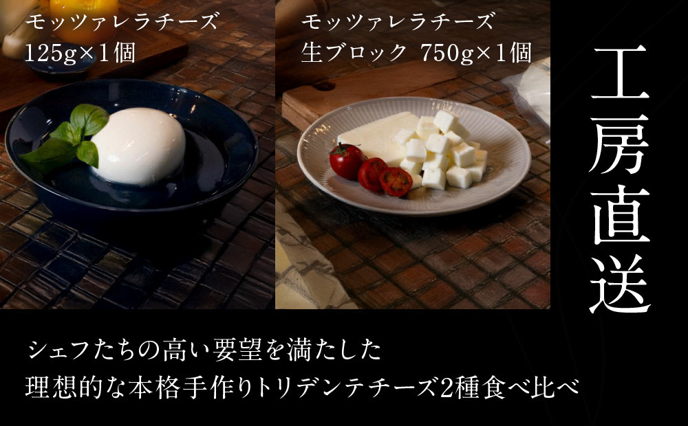 飛騨生乳100％ モッツァレラ1個 &  モッツァレラチーズ生ブロック1個セット | セット チーズ 冷蔵 濃厚 低温殺菌 乳製品 おいしい 人気 チーズ工房トリデンテ LF018