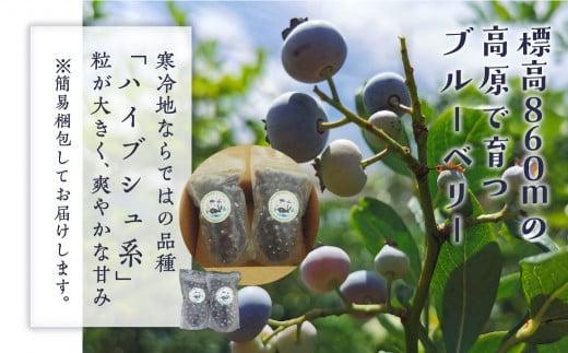 治助ファームの北部ハイブッシュブルーベリー「冷凍果実」380g×2袋 | 国産 フルーツ ブルーベリー おやつ 製菓 冷凍 果物 冷凍フルーツ 飛騨高山 治助ファーム LJ004VC13