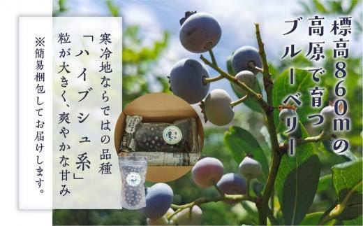 【12月配送】治助ファームの北部ハイブッシュブルーベリー「冷凍果実」380g×1袋 | 年内発送 国産 フルーツ おやつ 製菓 冷凍 果物 冷凍フルーツ 飛騨高山 治助ファーム LJ005VC12