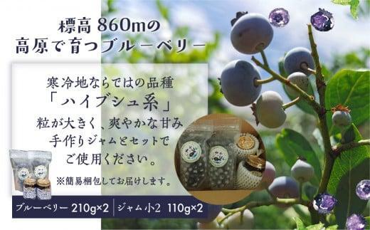 【12月配送】治助ファームの北部ハイブッシュブルーベリー「冷凍果実」210g×2袋と手作りジャム110g×2個セット | 年内発送 国産 ブルーベリー ジャム フルーツ おやつ 製菓 冷凍 くだもの 果物 冷凍フルーツ 飛騨高山 治助ファーム LJ006VC12