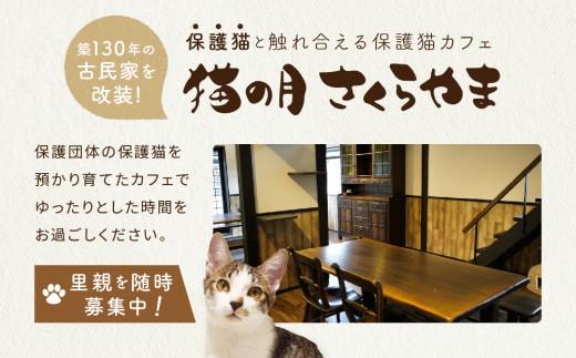 猫の月さくらやまご招待券1名様分（猫カフェ60分無料＋ワンドリンク付き）　ネコカフェ チケット 猫 ねこ ドリンク付き 古民家カフェ 保護猫 猫の月 さくらやま LM005