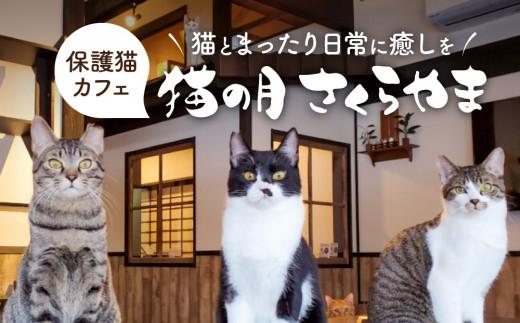猫の月さくらやまご招待券2名様分（猫カフェ60分無料＋ワンドリンク付き）　ネコカフェ チケット 猫 ねこ ドリンク付き 古民家カフェ 保護猫 猫の月 さくらやま LM006