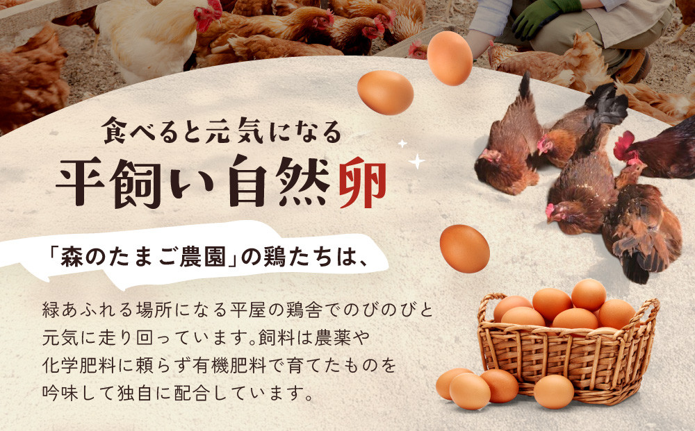 平飼い自然卵となめらかプリンセット｜自家製 卵 地元食材  スイーツ  朝食 自然 なめらか 菓子  飛騨高山 森のたまご農園 LW008