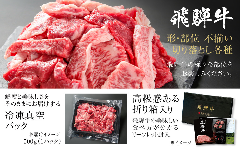 訳あり 飛騨牛 焼肉 切り落とし 500g 冷凍真空パック | 肉 お肉 切落し 不揃い 焼肉 焼き肉 やきにく 黒毛和牛 和牛 人気 おすすめ 牛肉 ギフト お取り寄せ 飛騨高山ミート MZ013