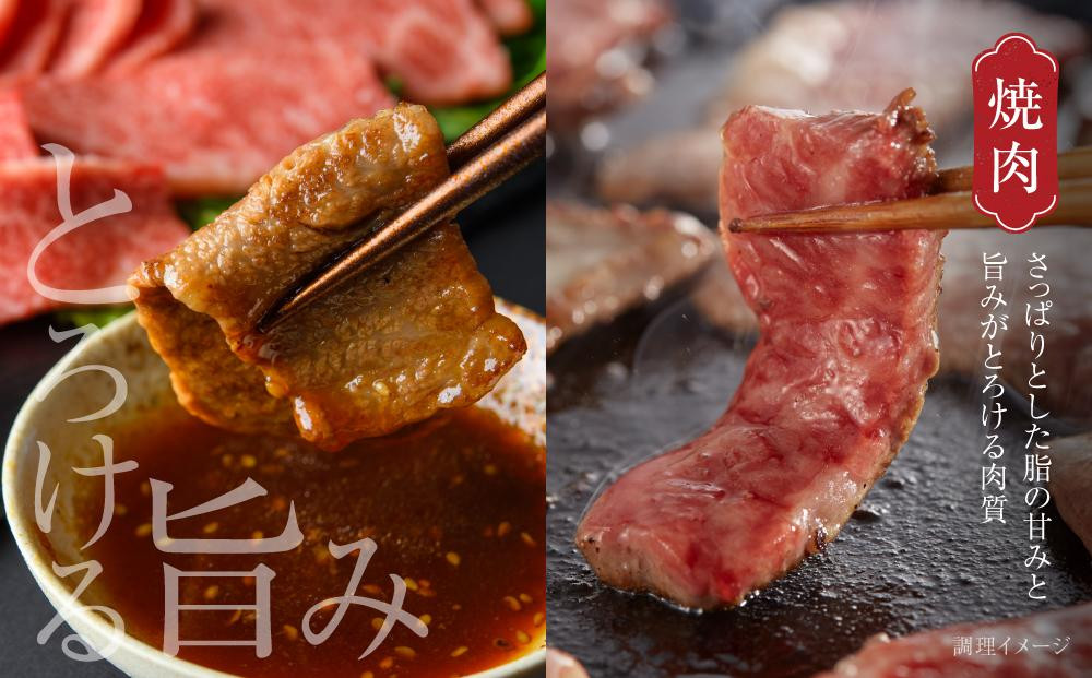 飛騨牛 カルビ焼肉 500g(1パック) 冷凍真空パック | 肉 お肉 焼肉 焼き肉 やきにく 黒毛和牛 和牛 人気 おすすめ 牛肉 ギフト お取り寄せ 飛騨高山ミート MZ037