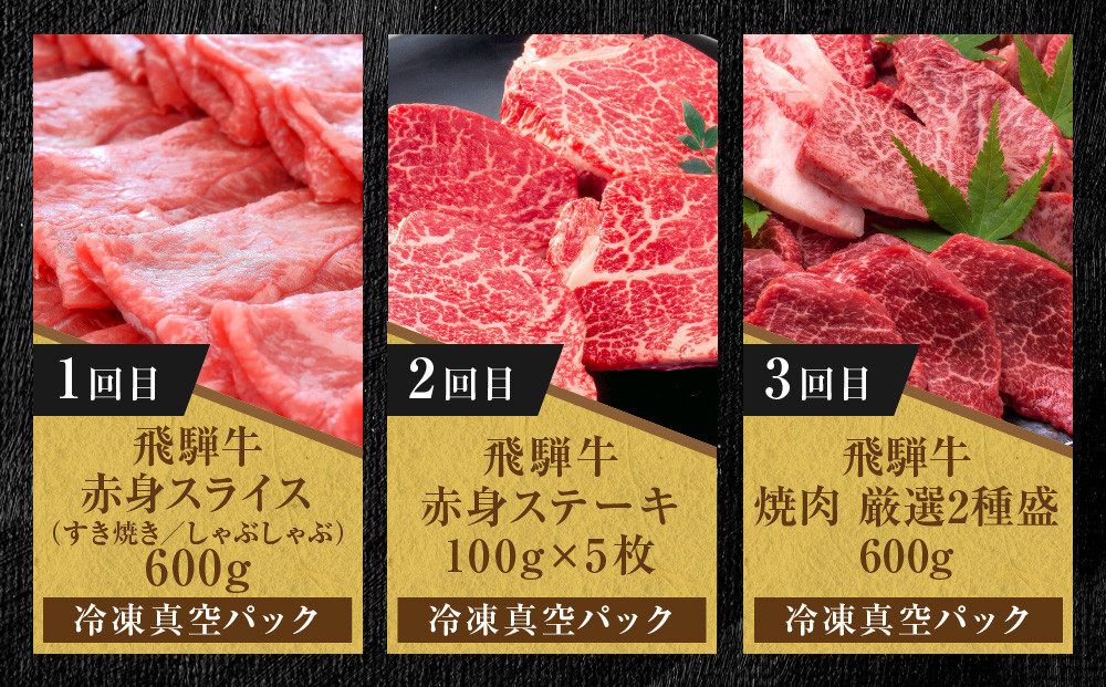 【定期便】全12回 飛騨牛 ざんまい(ステーキ/焼肉/すき焼き/切り落とし/ブロック) | 肉 お肉 黒毛和牛 和牛 個包装 小分け 牛肉 お取り寄せ 飛騨高山ミート MZ106