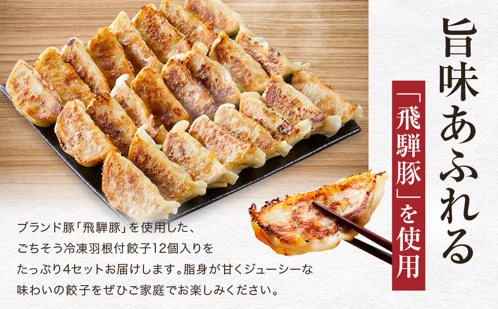 飛騨豚餃子12個入り×4セット（簡易包装）| おいしい焼き方説明書付き 自宅使いに最適 肉 食品 人気 便利 飛騨高山 餃子工房らん NL005