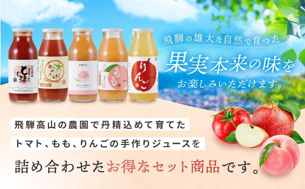 飛騨物産館オリジナルジュースセット 5種×各2本ずつ（計10本）| ジュース ドリンク 果物 野菜 フルーツ トマト 桃 りんご おいしい セット 飛騨高山 株式会社高山グリーンホテル NP001VC13