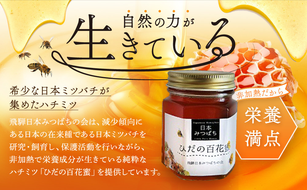 ひだの百花蜜 150g×2本 桐箱入り | 国産 非加熱 日本ミツバチ 二ホンミツバチ ハニー ハチミツ はちみつ 蜂蜜 贈答 プレゼント 飛騨高山 飛騨日本みつばちの会 PN001