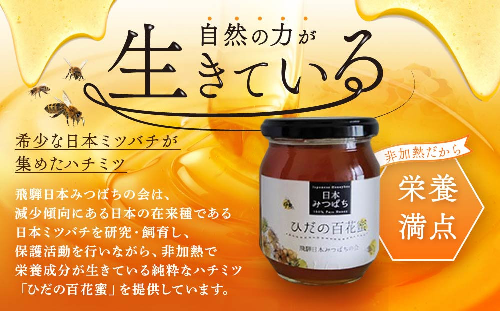 ひだの百花蜜 300g×1本 | 国産 非加熱 日本ミツバチ ハニー ハチミツ はちみつ 蜂蜜 飛騨高山 飛騨日本みつばちの会 PN003