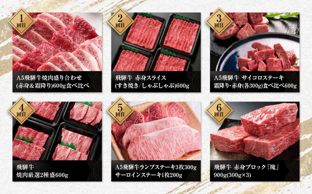 【飛騨牛 定期便】＜全12回＞ 毎月届く 計6.85kg | 肉 牛肉 お楽しみ 焼肉 すき焼き ステーキ しゃぶしゃぶ 食べ比べ 焼き肉 やきにく すき焼 すきやき サーロイン サイコロ ランプ 赤身 和牛 黒毛和牛 岐阜 高山 BBQ 人気 おすすめ 飛騨高山 ZZ010