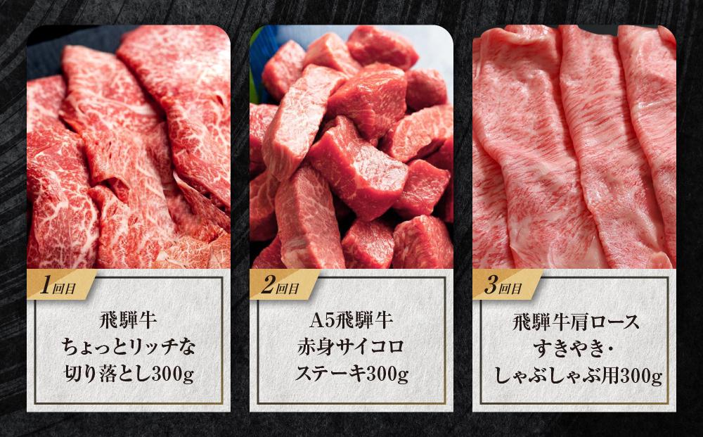 飛騨牛 定期便 全3回 900g ( 300g × 3ヶ月 ) 牛肉 ( 切り落とし / サイコロステーキ / 肩ロース薄切り ) | 肉 食べ比べ  岐阜 高山市 飛騨高山 岐阜県 人気 お楽しみ おすすめ ZZ014