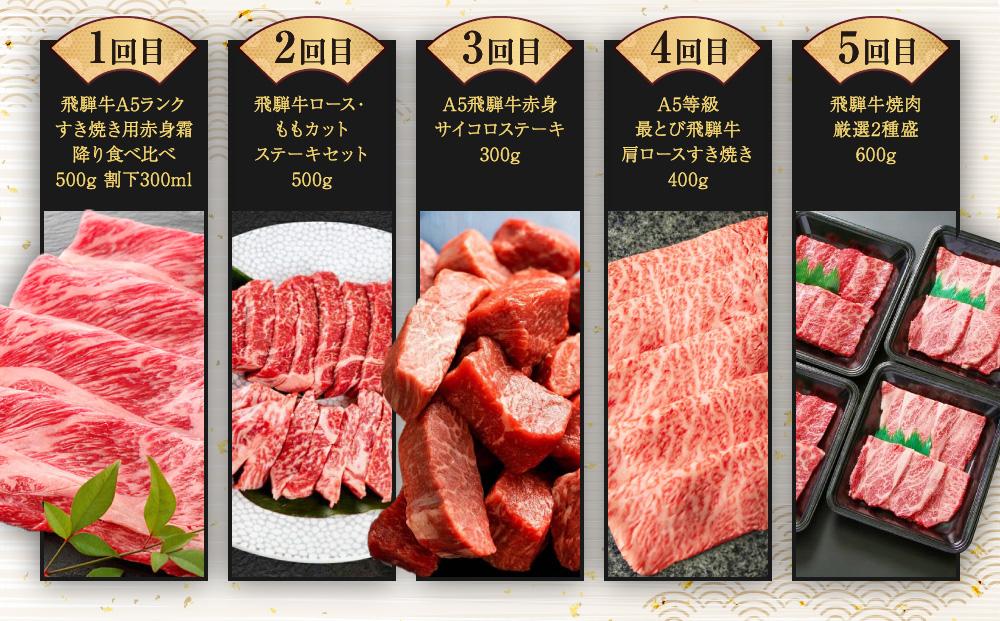 飛騨牛 定期便 全10回 牛肉 ( ステーキ / 焼肉 / しゃぶしゃぶ / すき焼き ) | 肉 食べ比べ A5 霜降り ロース もも サーロイン 岐阜 高山市 飛騨高山 岐阜県 人気 お楽しみ おすすめ ZZ017
