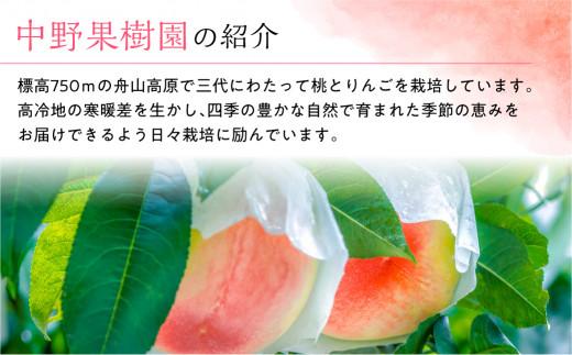 飛騨桃源郷久々野 中野果樹園 桃果汁入り飲料 もも 果汁60% 飛騨桃 飲料 フルーツ まるっとプラザ  BA004