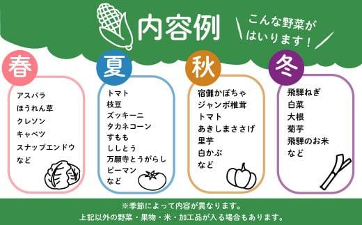 【寄附額見直しました！】飛騨高山の新鮮野菜 おまかせセット | 野菜 おまかせ 詰め合わせ やさい 果物 くだもの ご当地 フルーツ 飛騨高山 まるっとプラザ BA007